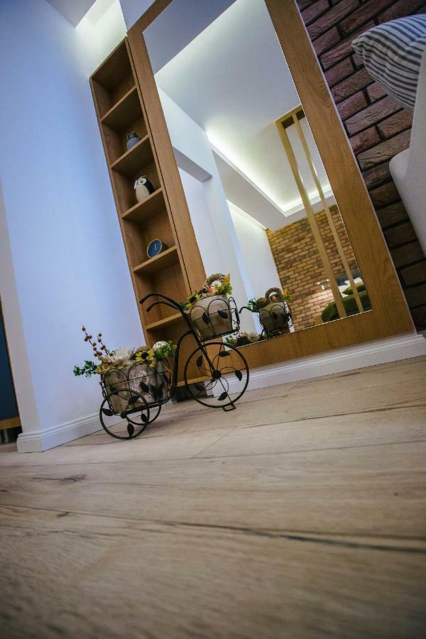 Briana Luxury Studio Cluj-Napoca Extérieur photo
