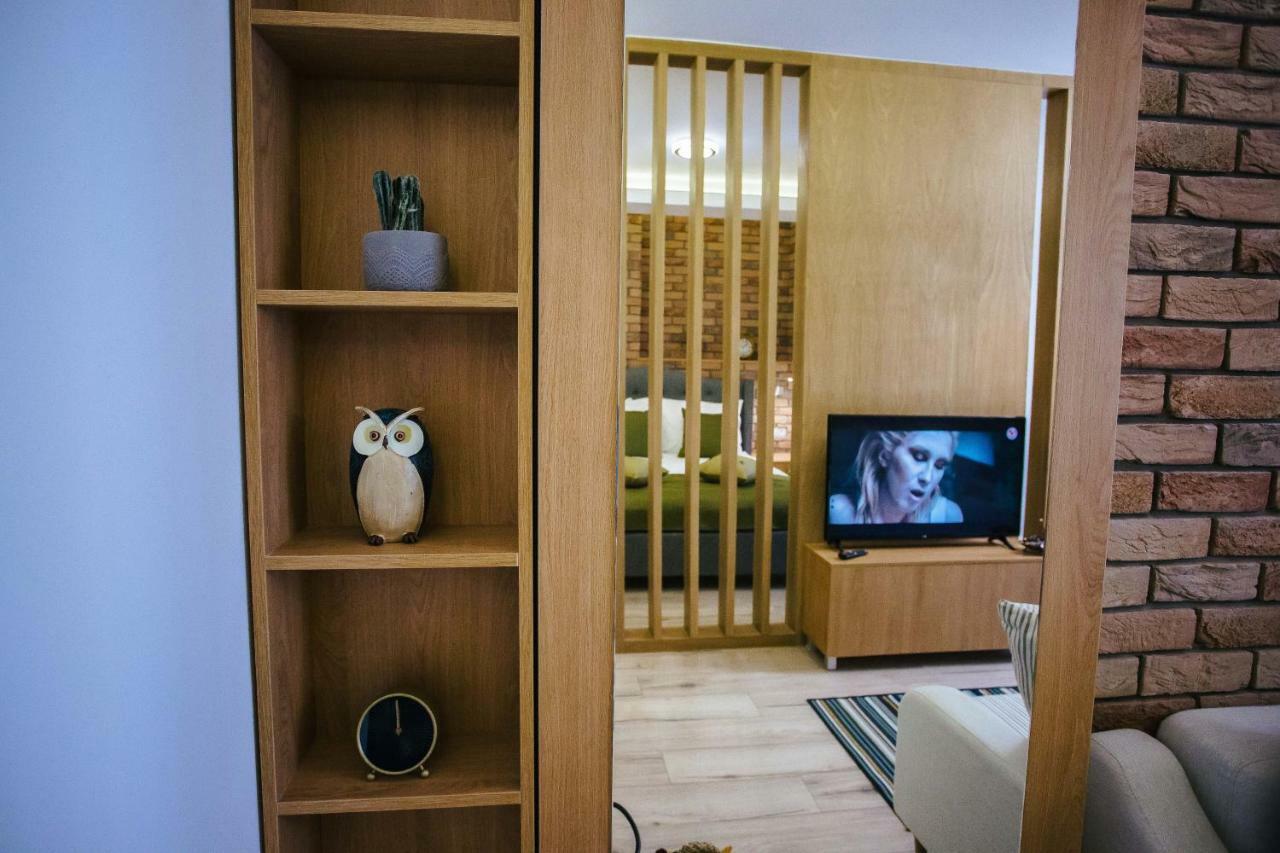 Briana Luxury Studio Cluj-Napoca Extérieur photo
